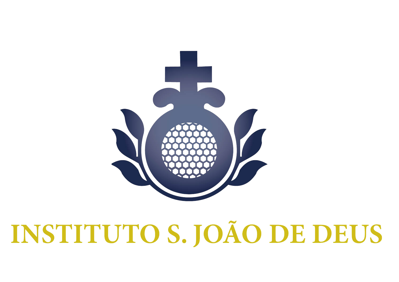 Instituto S.Joao De Deus